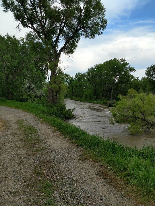 Yellowstone River near Norm's Island
